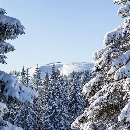 Waldblick Titisee Екстериор снимка