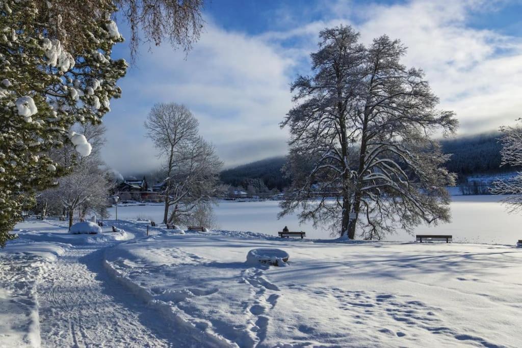 Waldblick Titisee Екстериор снимка