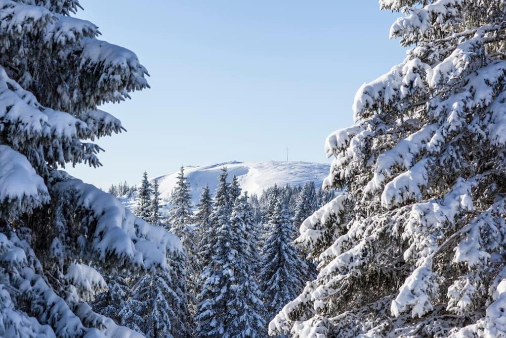 Waldblick Titisee Екстериор снимка