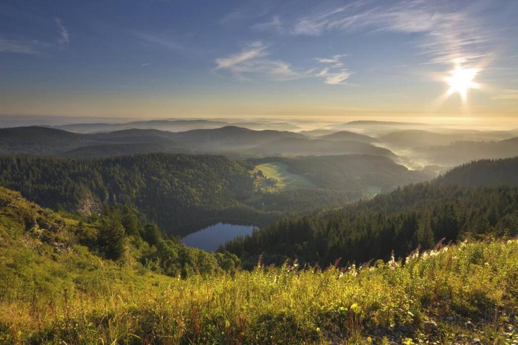 Waldblick Titisee Екстериор снимка