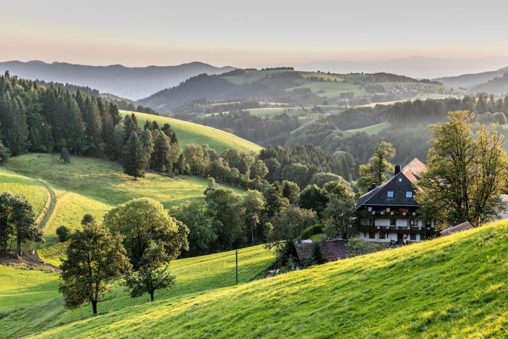 Waldblick Titisee Екстериор снимка