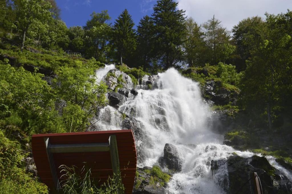 Waldblick Titisee Екстериор снимка